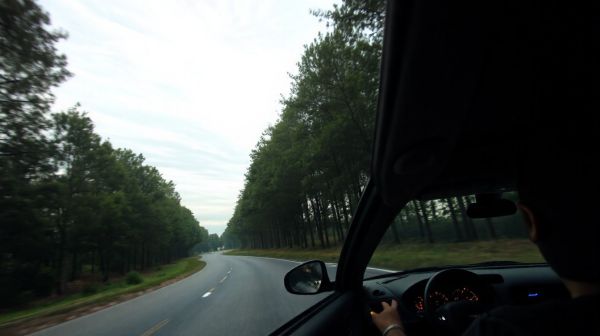 Top conseils pour conduire sereinement après le CBD